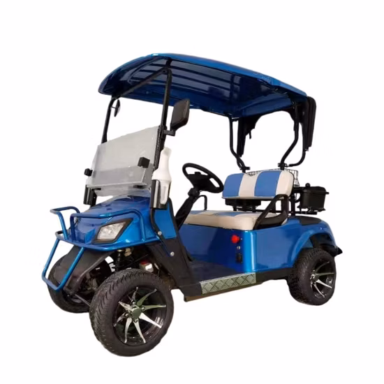 Elektrokarren für 2 Gasrad-Blitzlichter, Autozubehör, Dump-Benzin, 36-V-Ladekabel, Tempest SS-Achse, 5 Panel, 1 Golfwagen